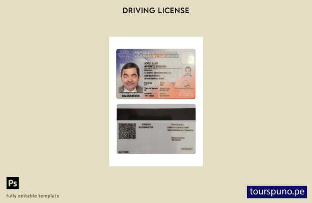 Plantilla de licencia de conducir de República Dominicana lista para imprimir